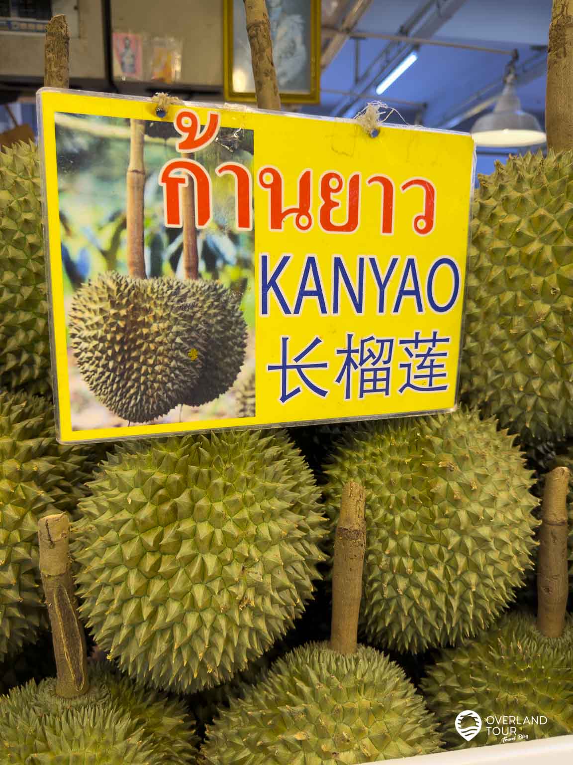 Dein Durian-Abenteuer Bangkok: Die Mutprobe für Genießer Die Ganyao ist die exklusivste und teuerste Durian-Sorte Thailands