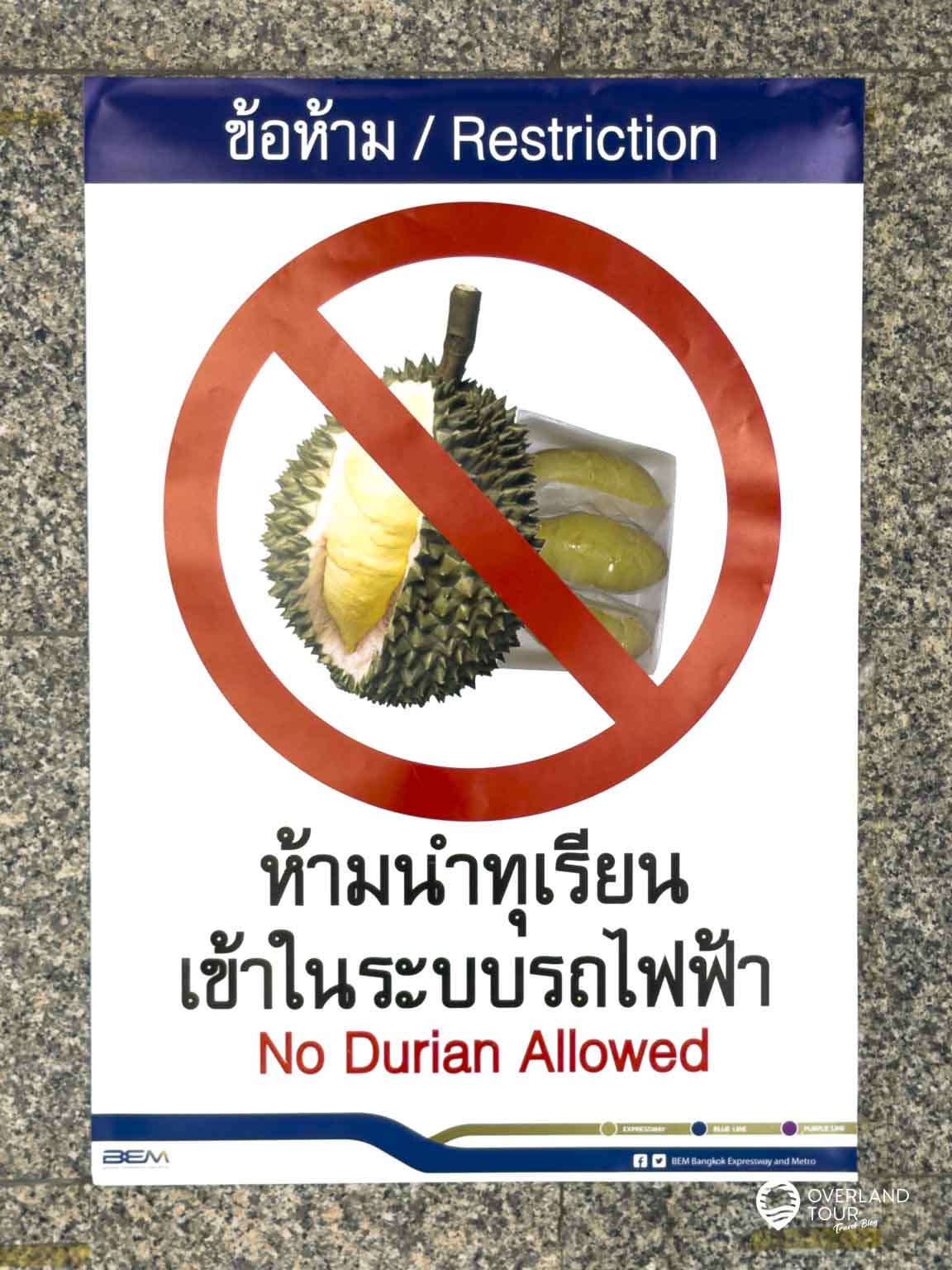 Dein Durian-Abenteuer Bangkok: Die Mutprobe für Genießer Durian-Verbot: Wo die „Stinkfrucht“ draußen bleiben muss