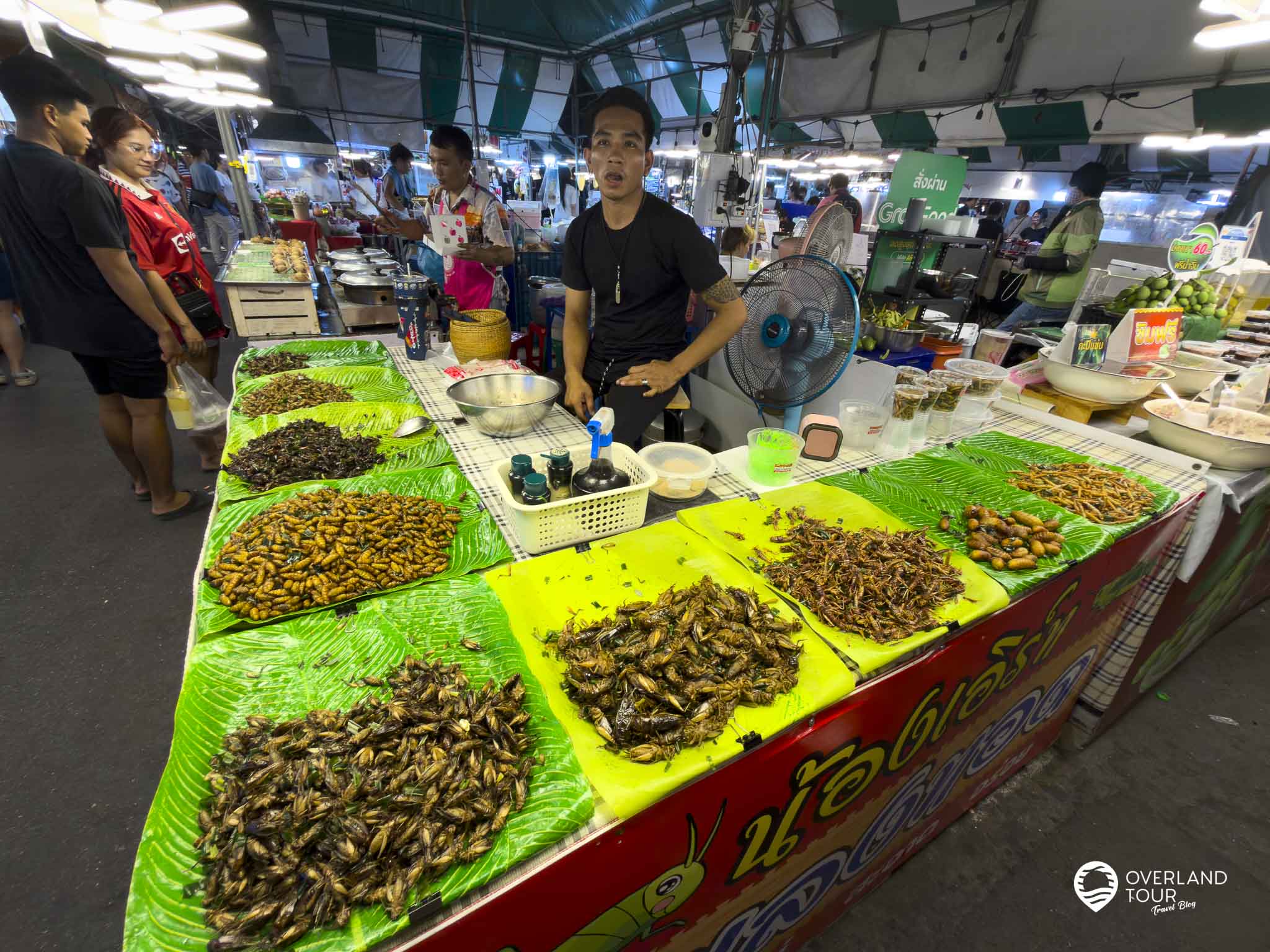 Liabduan DanNeramit: Bangkoks Märchen-Nachtmarkt-Abenteuer Die Welt der Exoten: Insekten essen als Proteine der Zukunft?