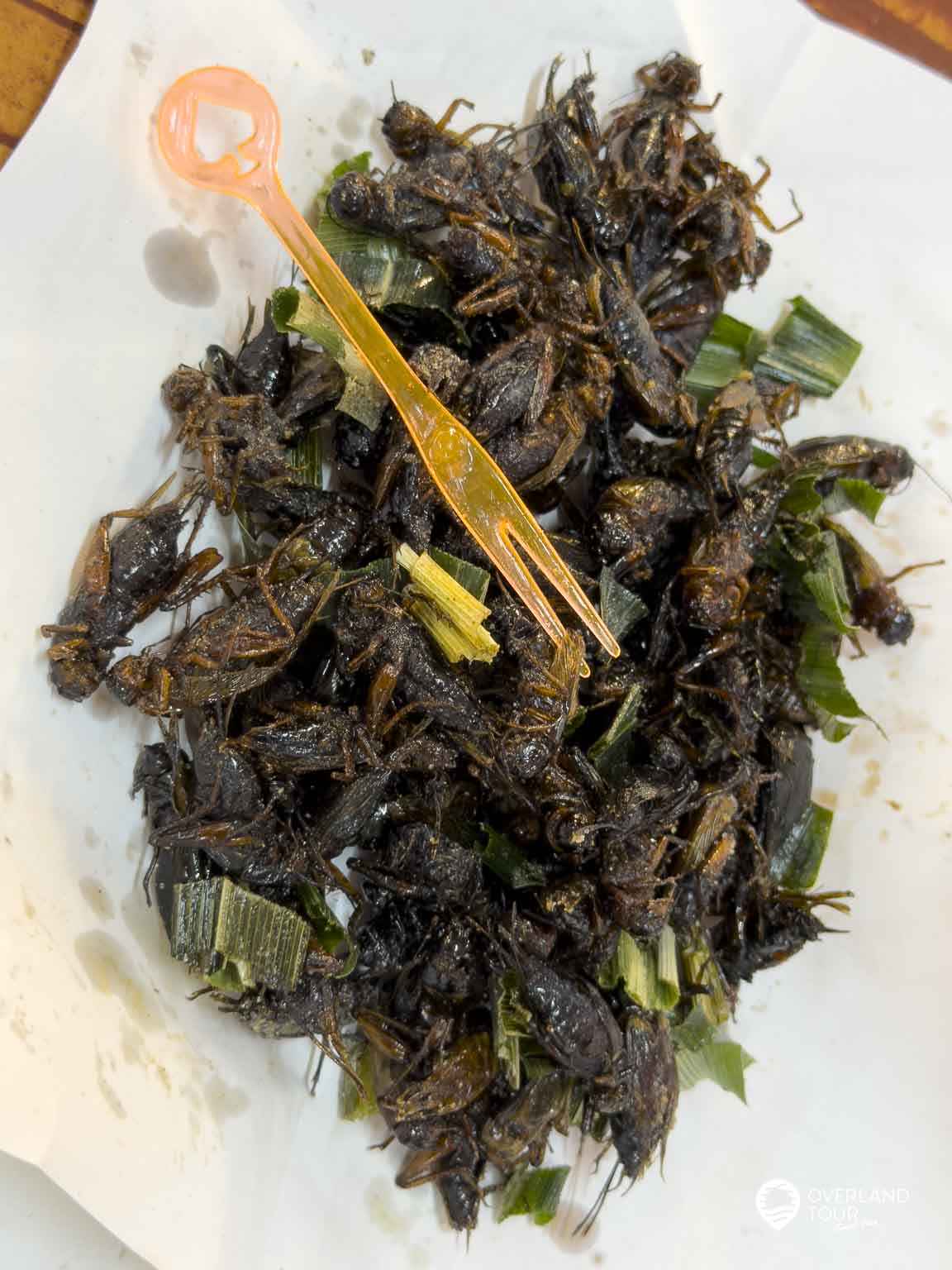 Das Popcorn Thailands: Goldbraun frittiert und fein gewürzt sind Jing-rit (Grillen) der ehrlichste Snack der thailändischen Insektenküche. Ob zum kühlen Bier oder einfach zwischendurch – bei den Einheimischen darf die knusprige Tüte an keinem Abend fehlen